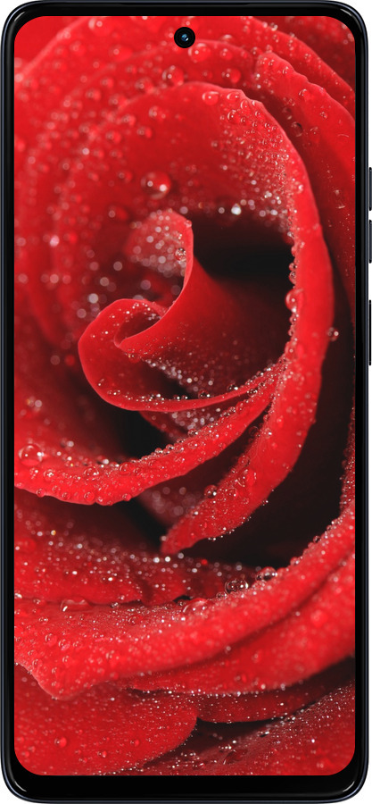 Силіконовий чехол Червона троянда для Motorola Moto G56 - 529u-4124 изображение 