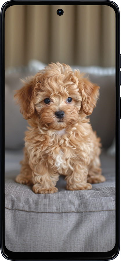 Силиконовый чехол Mini-maltipoo для Motorola Moto G56 - 6158u-4124 изображение 