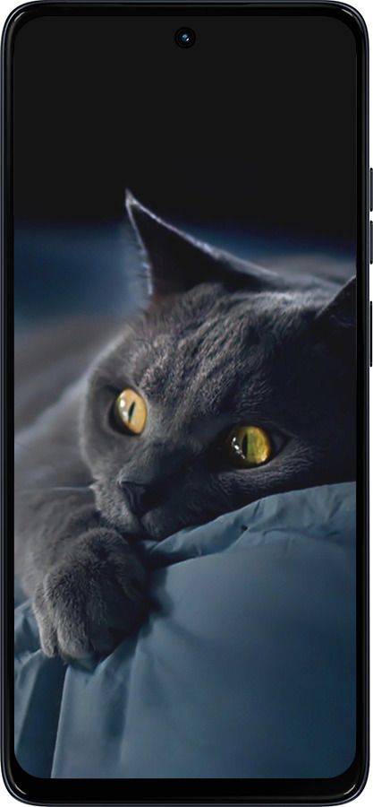 Силиконовый чехол Дымчатый кот для Motorola Moto G56 - 825u-4124 изображение 