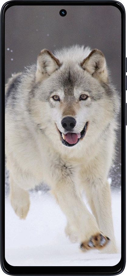 Силиконовый чехол Бегущий волк для Motorola Moto G56 - 826u-4124 изображение 