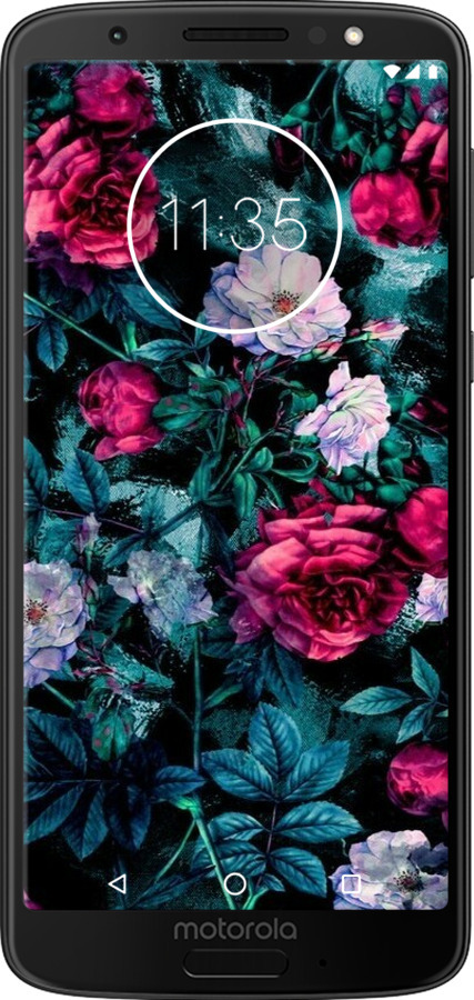 Силиконовый чехол Сад и розы для Motorola Moto G6 Plus - 6483u-976 изображение 