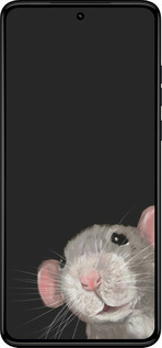 TPU чехол The Peeking Rat для Motorola Moto G84 - 6442b-3344 изображение 