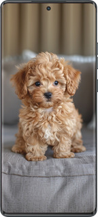 TPU чехол Mini-maltipoo для Motorola Moto G85 5G - 6158b-3780 изображение 
