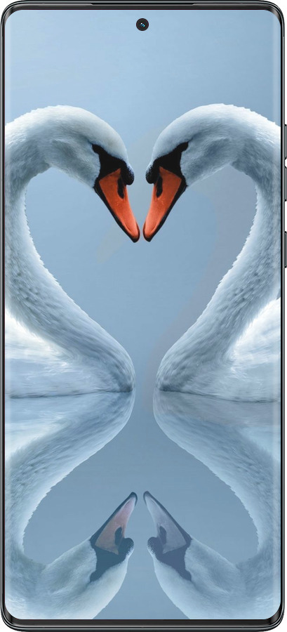 TPU чехол Лебеди для Motorola Moto G85 5G - 6007b-3780 изображение 