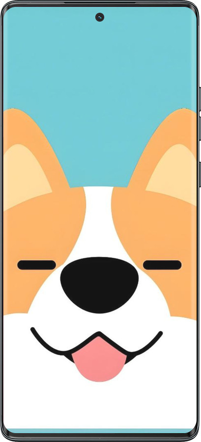 TPU чехол Корги для Motorola Moto G85 5G - 6280b-3780 изображение 