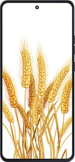 Силиконовый чехол Колоски пшеници для Motorola Moto G86 - 5866u-4115 изображение 