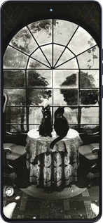 Силиконовый чехол Череп и коты для Motorola Moto G86 - 6432u-4115 изображение 