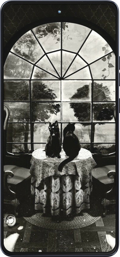 Силиконовый чехол Череп и коты для Motorola Moto G86 - 6432u-4115 изображение 