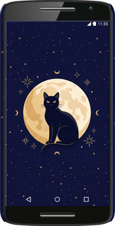 3D пластиковый глянцевый чехол Cute Cat Celestial/Witchy для Motorola Moto X Play - 6787c-459 изображение 