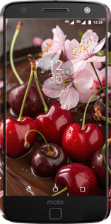 3D пластиковый глянцевый чехол Вишня в шоколаде для Motorola MOTO Z - 6698c-419 изображение 