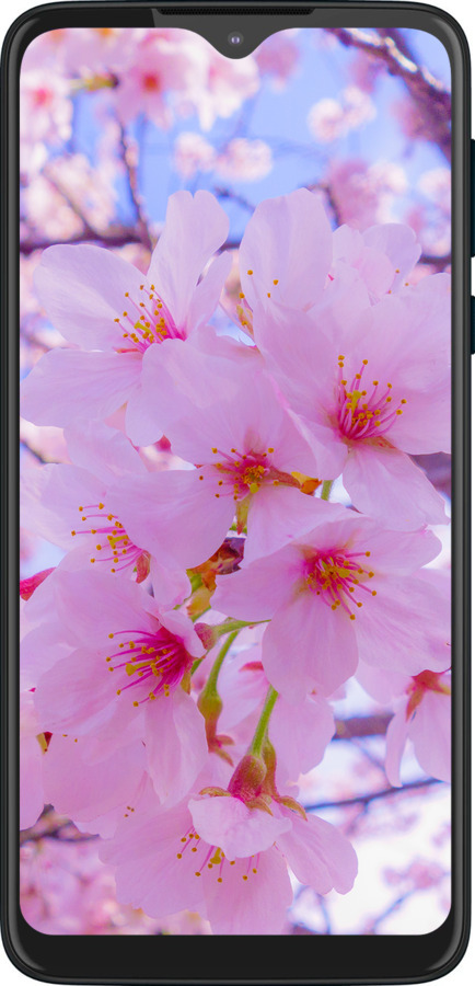 Силиконовый чехол Сакура для Motorola One Macro - 6029u-1812 изображение 