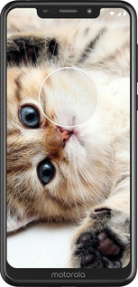 2D пластиковый чехол Котик для Motorola One - 6024t-1589 изображение 