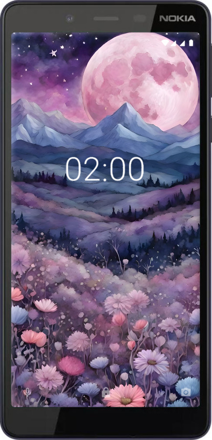 Силиконовый чехол Ночь луна арт для Nokia 1 Plus - 6319u-1677 изображение 
