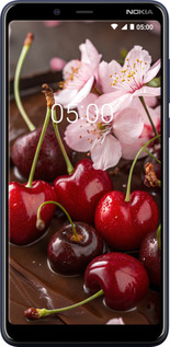Силіконовий чехол Вишня у шоколаді для Nokia 3.1 Plus - 6698u-1607 изображение 