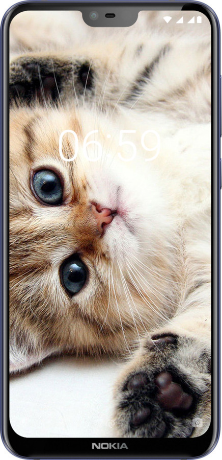 Силиконовый чехол Котик для Nokia 6.1 Plus - 6024u-1539 изображение 