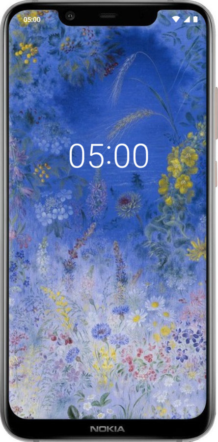 Силиконовый чехол Билокур для Nokia 7.1 Plus - 5908u-1606 изображение 