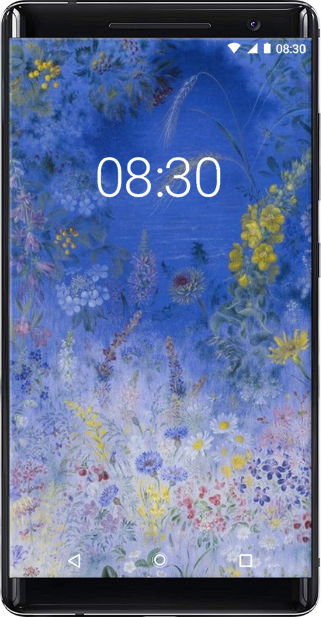 Силиконовый чехол Билокур для Nokia 8 Sirocco - 5908u-1619 изображение 