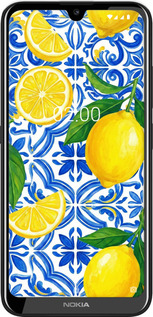 Силиконовый чехол Grocery Girl Italian Summer для Nokia 2.2 - 6766u-1706 изображение 