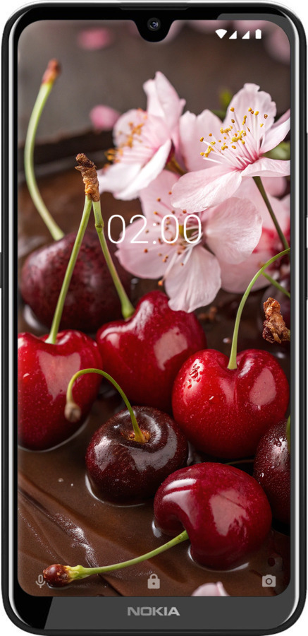Силиконовый чехол Вишня в шоколаде для Nokia 2.2 - 6698u-1706 изображение 