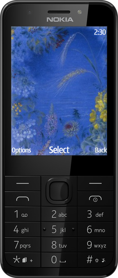 Силиконовый чехол Билокур для Nokia 230 - 5908u-339 изображение 