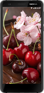 Силіконовий чехол Вишня у шоколаді для Nokia 3.1 - 6698u-1530 изображение 