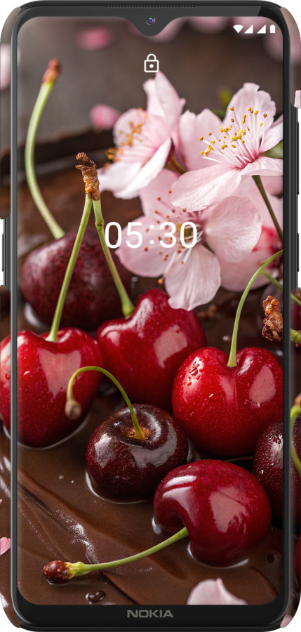 3D пластиковий матовий чехол Вишня у шоколаді для Nokia 5.3 - 6698m-2102 изображение 