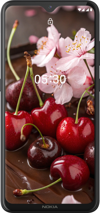 Силиконовый чехол Вишня в шоколаде для Nokia 5.3 - 6698u-2102 изображение 