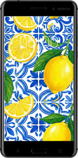 2D пластиковый чехол Grocery Girl Italian Summer для Nokia 6 - 6766t-898 изображение 