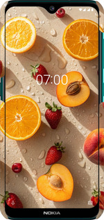 3D пластиковий матовий чехол Фрукти 3 для Nokia 6.2 - 6703m-2018 изображение 
