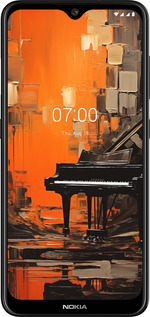 2D пластиковый чехол Чехол для телефона Оранжевый Рояль для Nokia 6.2 - 5937t-2018 изображение 