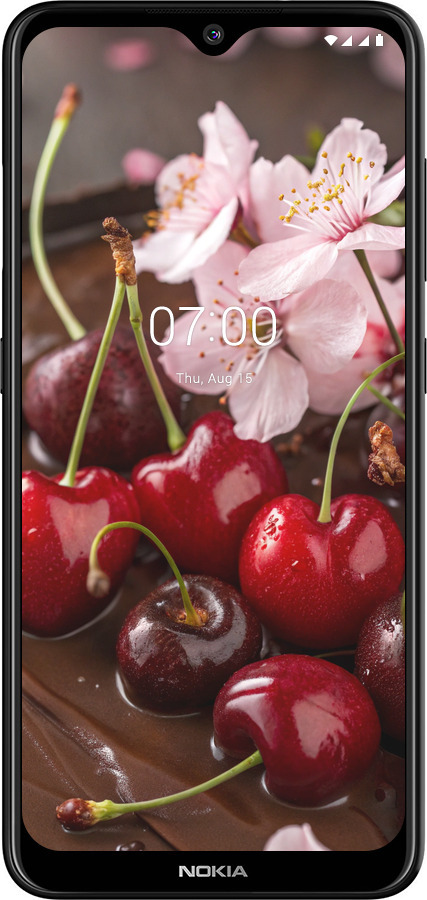 2D пластиковий чехол Вишня у шоколаді для Nokia 6.2 - 6698t-2018 изображение 