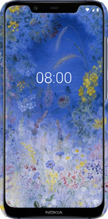 3D пластиковий матовий чехол Білокур для Nokia 8.1 - 5908m-1620 изображение 