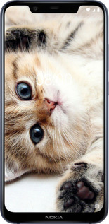 Силіконовий чехол Котик для Nokia 8.1 - 6024u-1620 изображение 