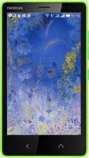 Силиконовый чехол Билокур для Nokia X2 Dual SIM - 5908u-469 изображение 