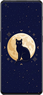 Силиконовый чехол Cute Cat Celestial/Witchy для OnePlus 11 - 6787u-2940 изображение 