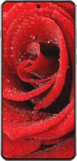 TPU чехол Красная роза для OnePlus 13 5G - 529b-3875 изображение 