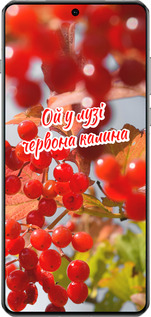 TPU чехол Калина для OnePlus 13 5G - 5454b-3875 изображение 