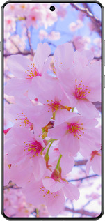 TPU чехол Сакура для OnePlus 13 5G - 6029b-3875 изображение 
