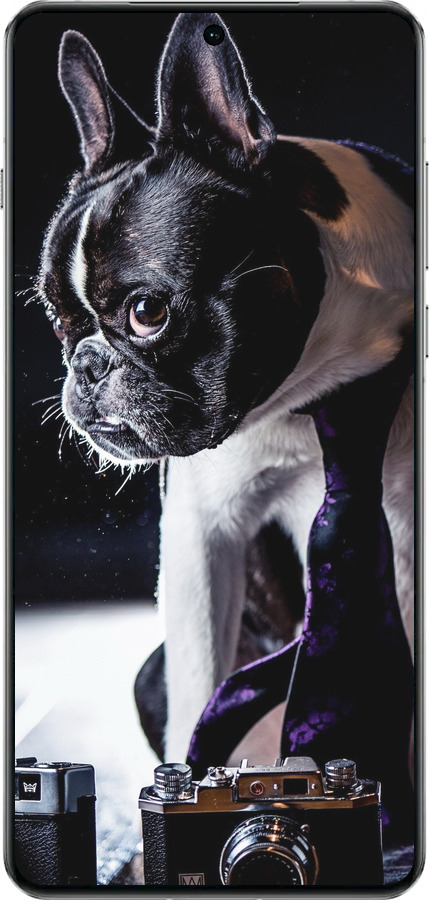 TPU чехол Бульдог-фотограф для OnePlus 13 5G - 142b-3875 изображение 