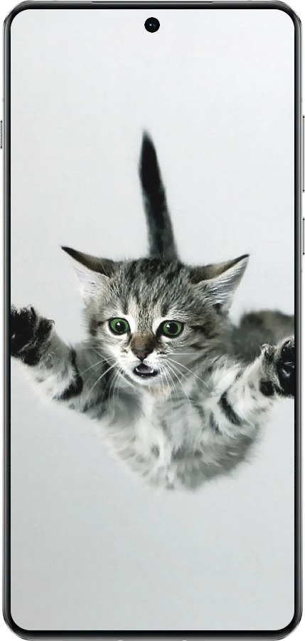 TPU чехол Літаюче кошеня для OnePlus 13 5G - 2322b-3875 изображение 