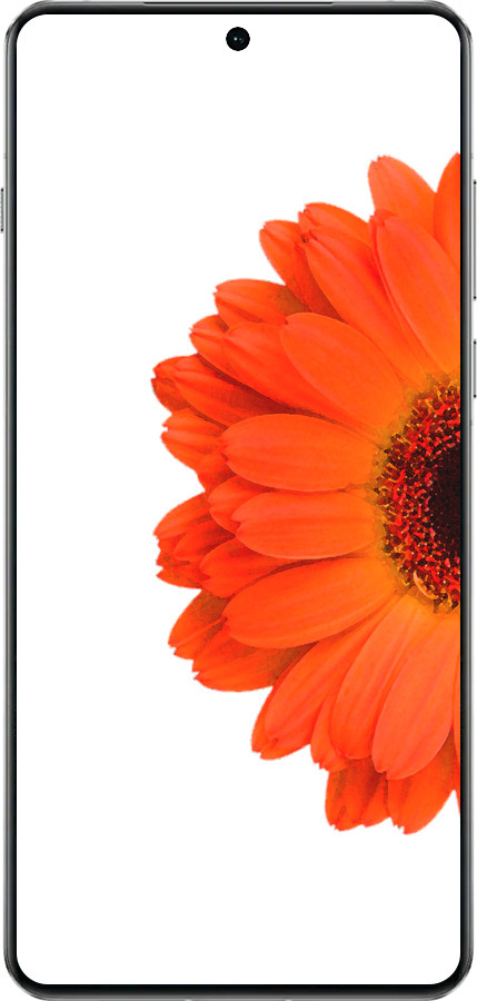 TPU чехол Гербера 1 для OnePlus 13 5G - 4534b-3875 изображение 