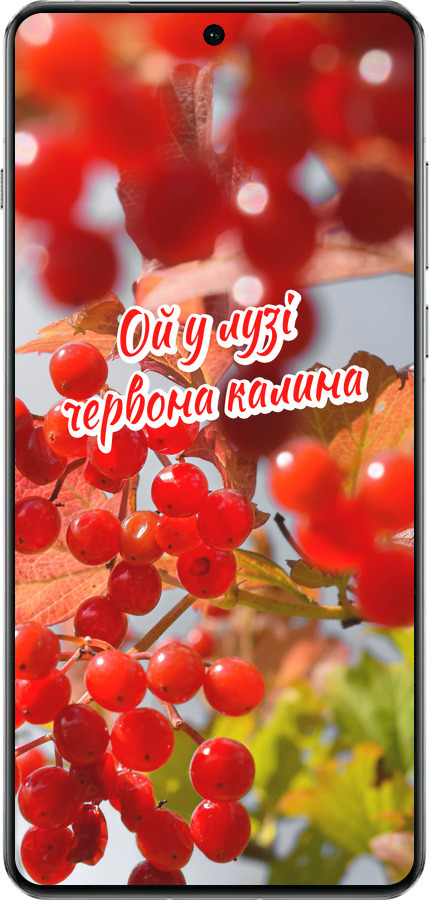 TPU чехол Калина для OnePlus 13 5G - 5454b-3875 изображение 
