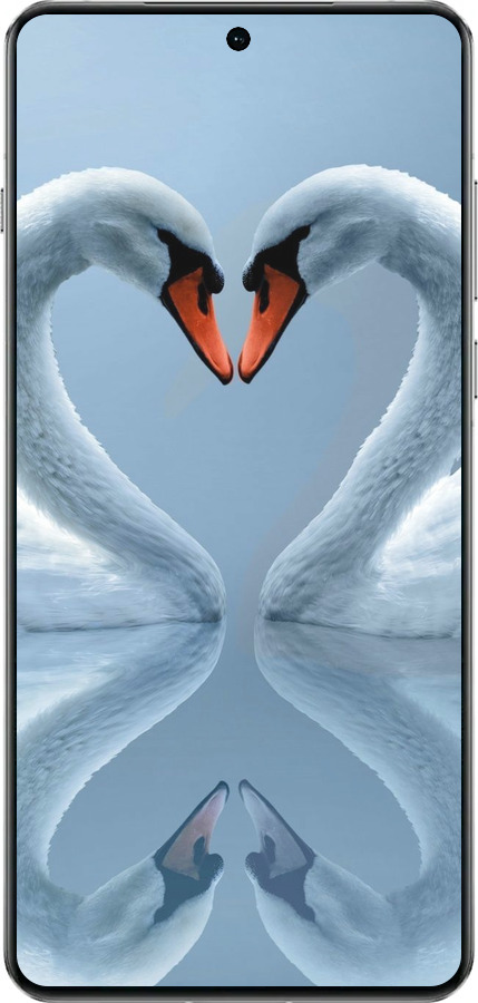 TPU чехол Лебеди для OnePlus 13 5G - 6007b-3875 изображение 