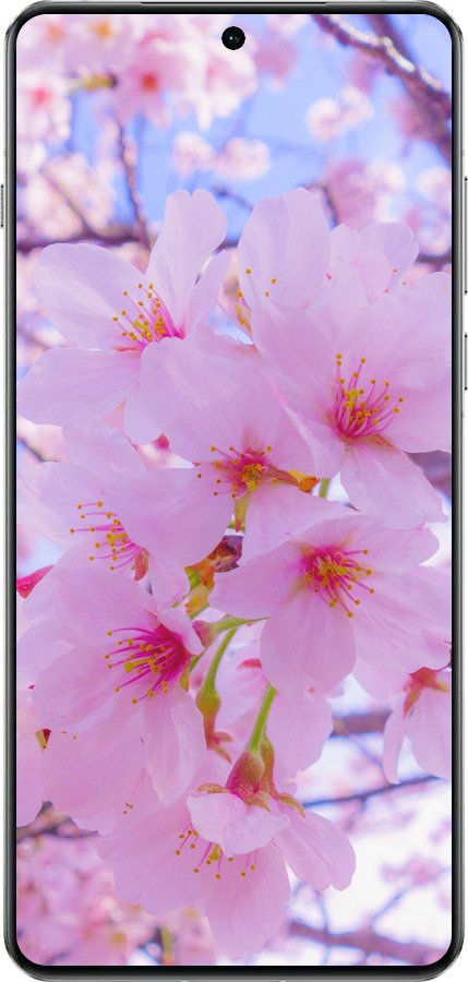 TPU чехол Сакура для OnePlus 13 5G - 6029b-3875 изображение 