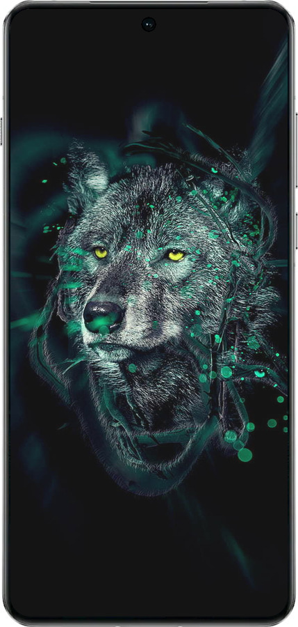 TPU чехол Wolf для OnePlus 13 5G - 6610b-3875 изображение 