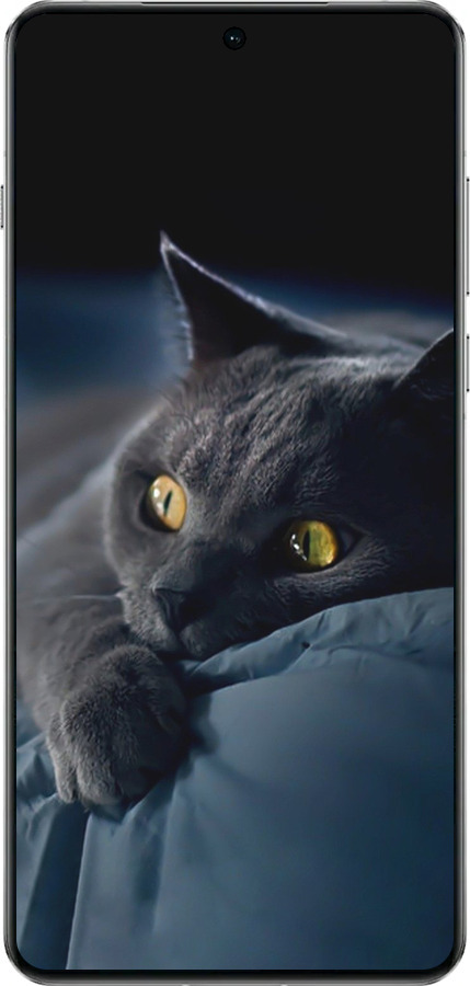 TPU чехол Димчастий кіт для OnePlus 13 5G - 825b-3875 изображение 