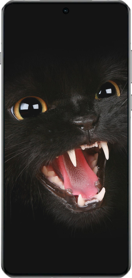 TPU чехол Чёрная кошка для OnePlus 13 5G - 932b-3875 изображение 