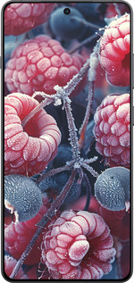 TPU чехол Морозні ягоди для OnePlus 13R 5G - 6033b-3922 изображение 