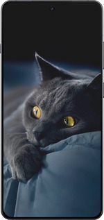 TPU чехол Димчастий кіт для OnePlus Ace 5 - 825b-4087 изображение 