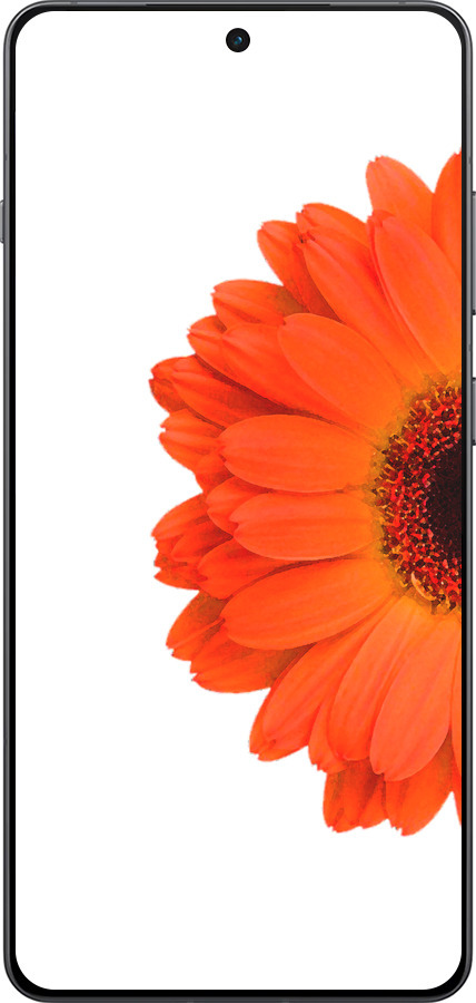TPU чехол Гербера 1 для OnePlus 13R 5G - 4534b-3922 изображение 